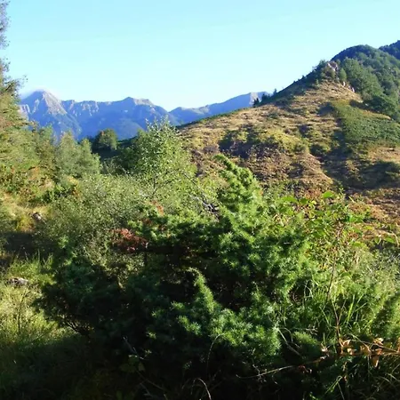 別荘 Rustic Retreat *